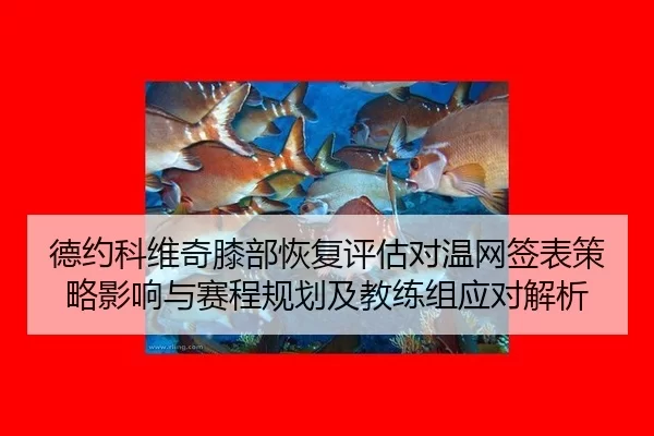 de-yue-ke-wei-qi-xi-bu-hui-fu-ping-gu-dui-wen-wang-qian-biao-ce-lve-ying-xiang-yu-sai-cheng-gui-hua-ji-jiao-lian-zu-2-100.jpg